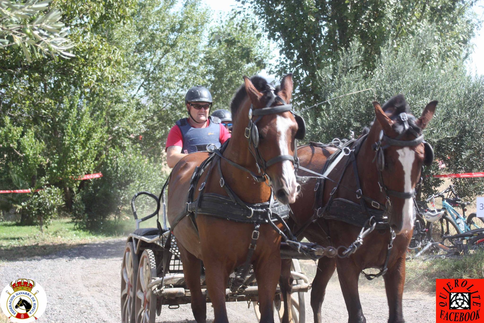 Olite acogió el Campeonato Navarro de Enganches